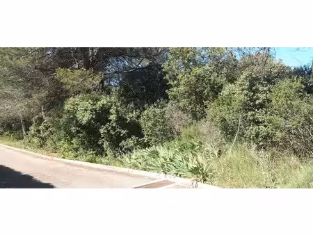 vente terrain à batir 2700 m² à uchaux (84100)  212 000 €