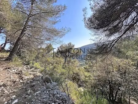 vente terrain à batir 2925 m² à falicon (06950)  630 000 €