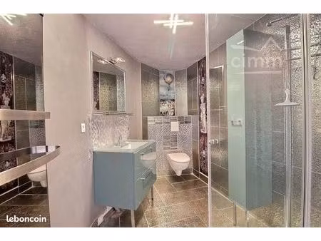 maison 7 pièces 231 m²
