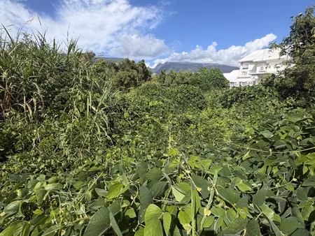 vente terrain à bâtir 3 600 m²
