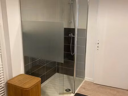loue f1 meublé belley centre