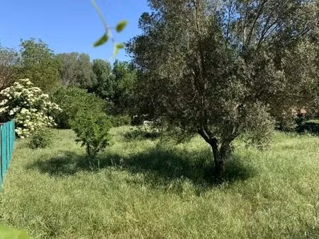 terrain 1 250 m² carces