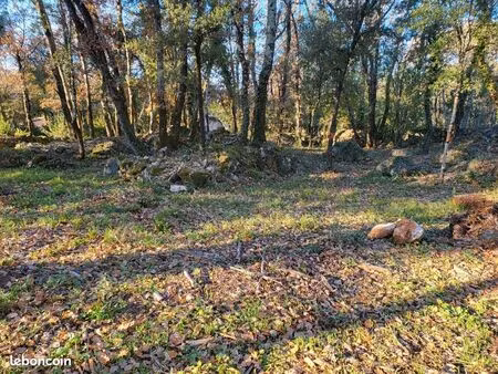 terrain 1 000 m² camps la source