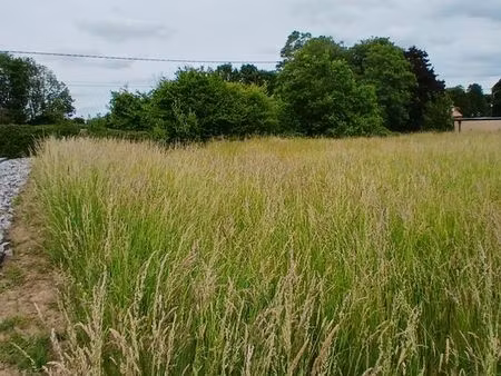 terrain à bâtir