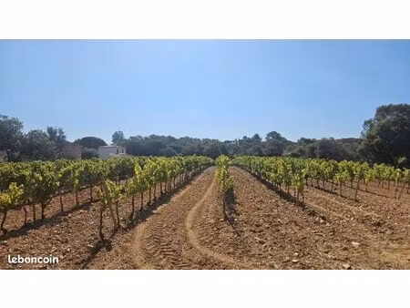 terrain 698 m² cogolin