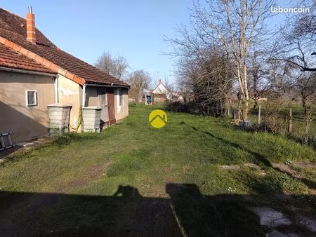 forêt de tronçais à 100m