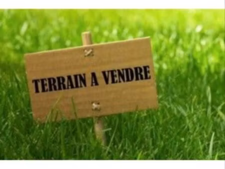 terrain constructible