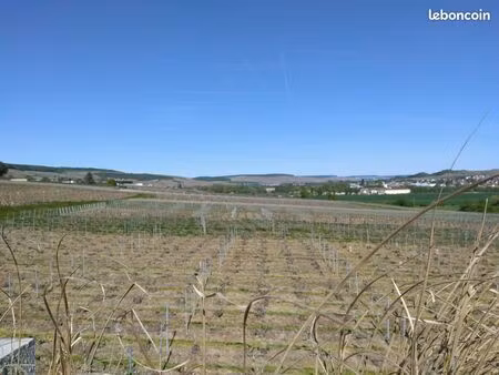 terrain aoc champagne