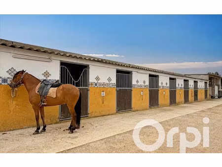 maison aimargues 75.51 m² t-2 à vendre  459 000 €