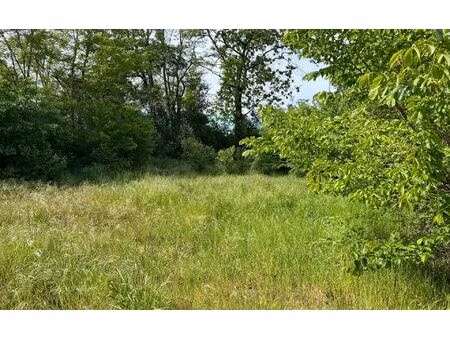 terrain montluçon m² t- à vendre  14 000 €