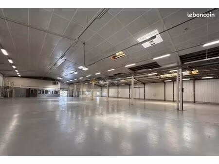local commercial 1600 m² fréjus