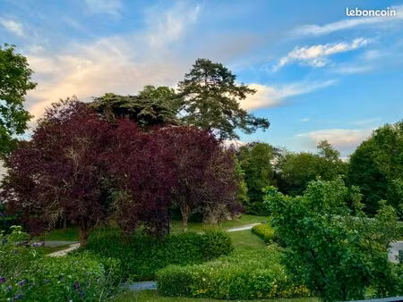maison dans un parc