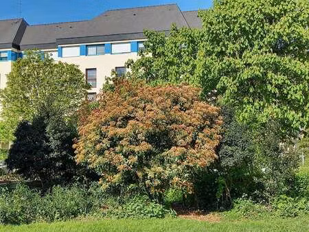 vente appartement 4 pièces à rennes centre ville (35000) : à vendre 4 pièces / 100m² renne