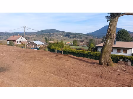 a bourg-bruche  coup de coeur  terrain constructible de 12.9