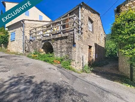 une maison en pierre de plain-pied avec extérieur et cave au cœur de clairac.