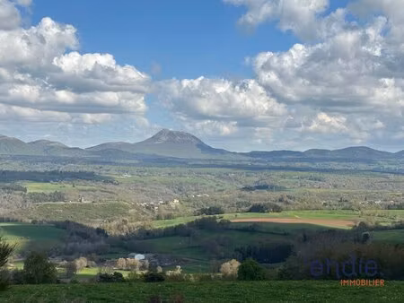 terrain boisé – forêt