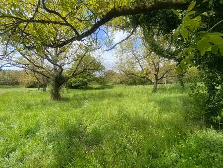 terrain fertile au bord du lot  permaculture