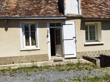vente maison pleumartin