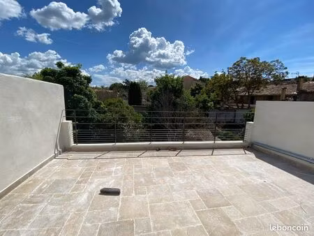 hypercentre  rénové  superbe terrasse