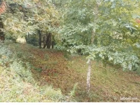 terrain constructible