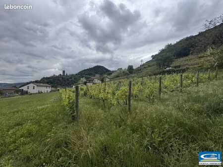 terrain 1130 m² arras-sur-rhône