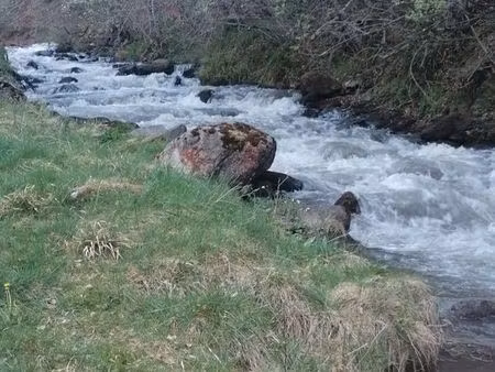 cherche terrain de loisirs avec ruisseau