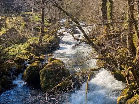 cherche terrain de loisirs avec ruisseau