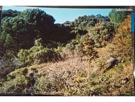 terrain 9500 m²