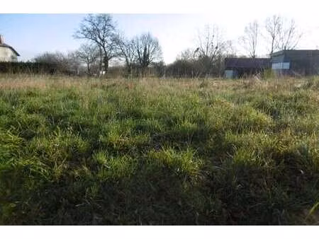 vente terrain à ombrée d'anjou (49420) : à vendre / 1816m² ombrée d'anjou