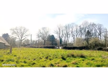 terrain constructible