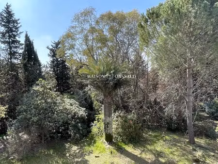 maison sur 3200 m² de terrain en centre-ville