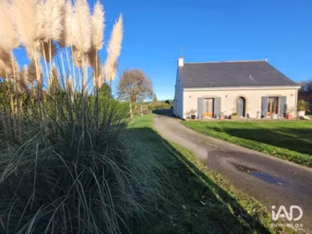 maison à guémené-penfao (44290)