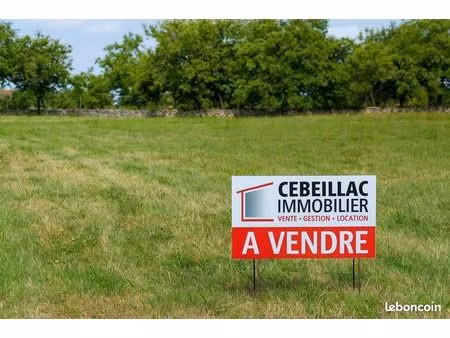 terrain 791 m² mur sur allier