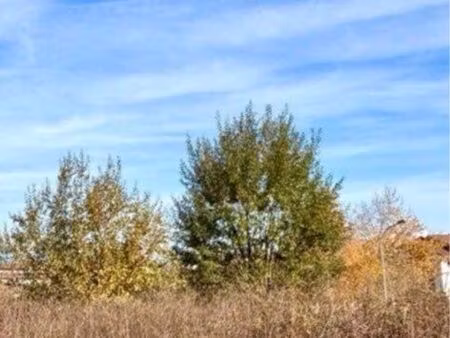 terrain de loisirs