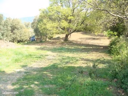 terrain constructible corse 3000m2