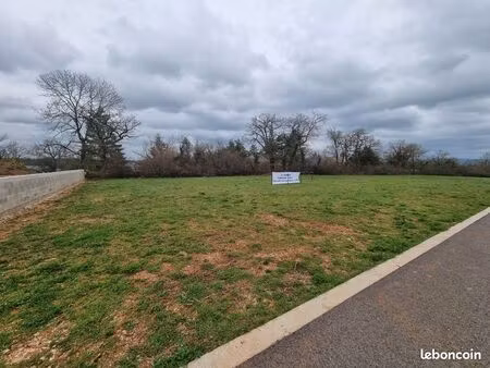 terrain plat et ensoleillé – prêt pour votre projet