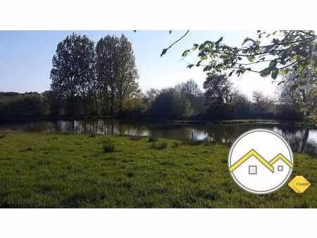 vente terrain à ruffigné (44660) : à vendre / 5915m² ruffigné