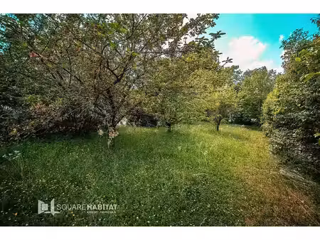 terrain à vendre