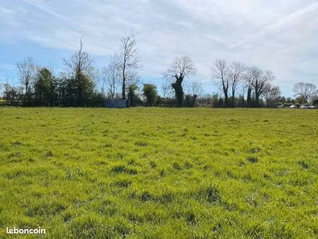 terrain 541 m² nonant