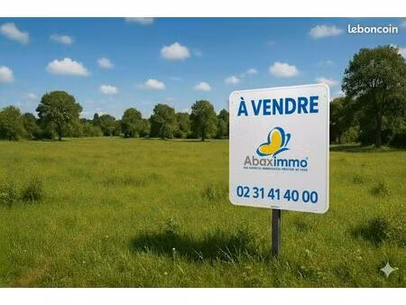 terrain 10000 m² falaise