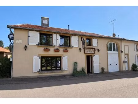 maison f6 à ville-sur-yron avec jardin et garages