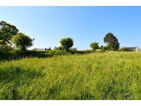 vente terrain à bâtir viabilisé 790 m²  au calme  saint-quay-perros (22700)