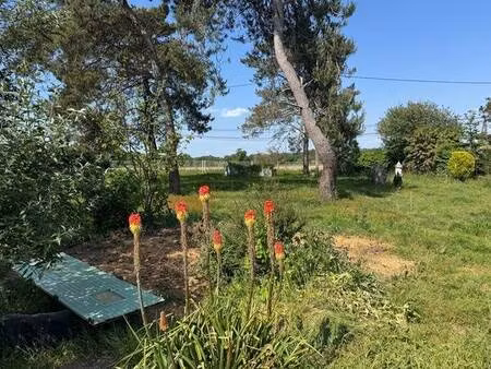 terrain 1017 m²