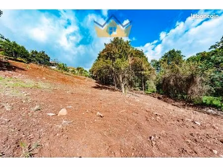 terrain 1549 m² saint-esprit