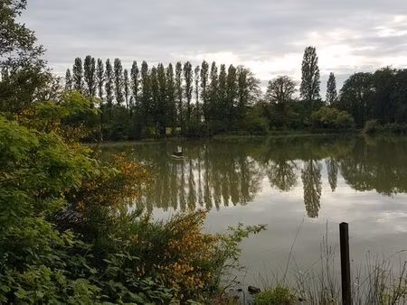 grand etang + terrain