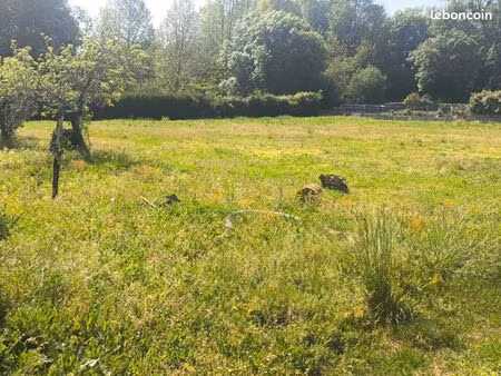 terrain 1 250 m² nercillac