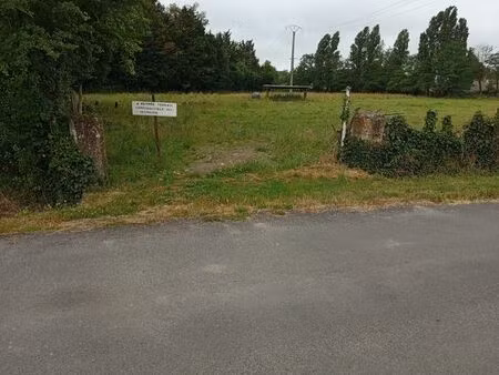 terrain constructible
