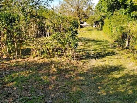 terrain de jardin