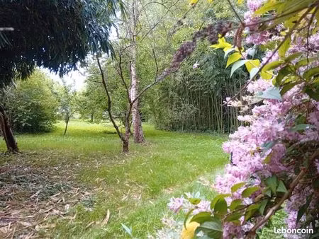terrain de loisirs