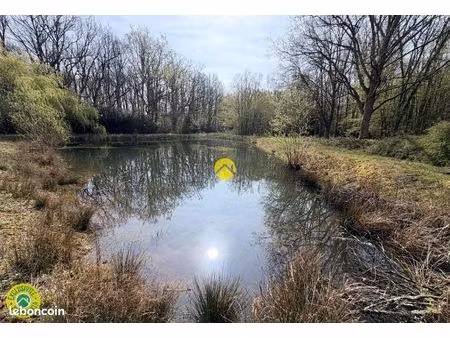 étangs en pleine nature